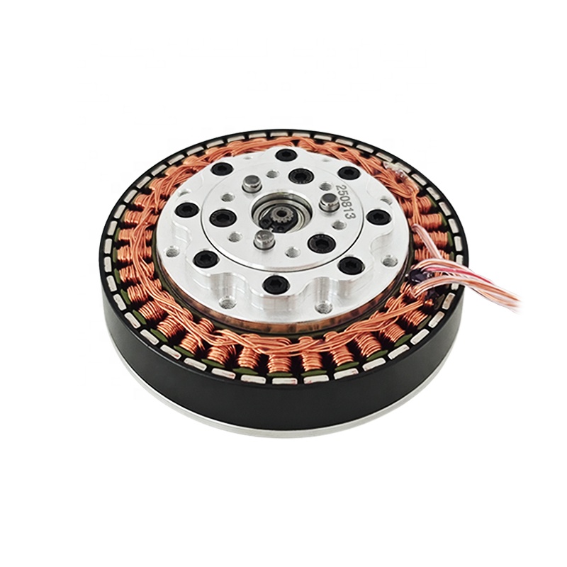 Geïntegreerde 24V 48V BLDC-mot - Bldc Planetary Gear Motor 48V High Torque recensie en prijs