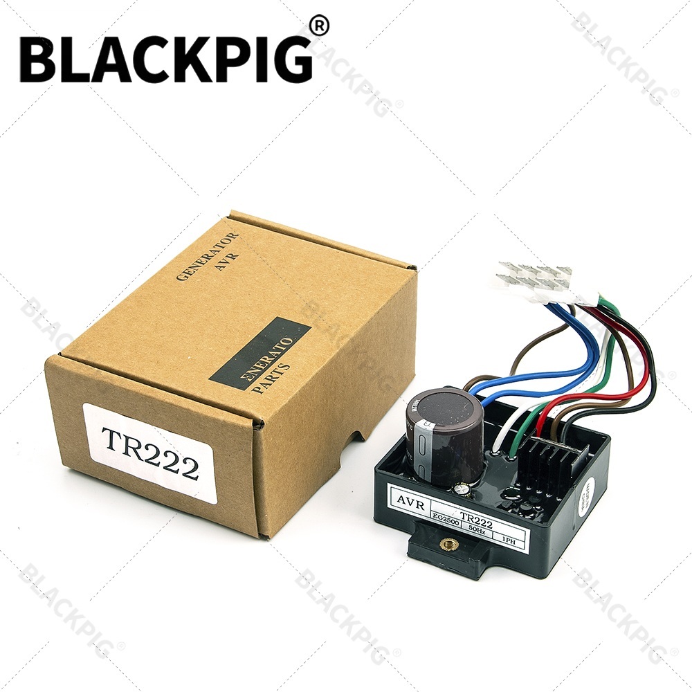 TR222 EG2500 AVR Automatische  - Cycloidal Reducer Bldc Motor recensie en prijs